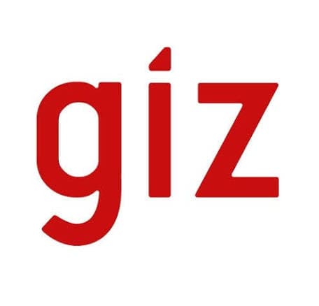 GIZ logo